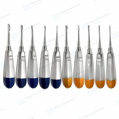 10 Piece Dental Luxating Elevator Set