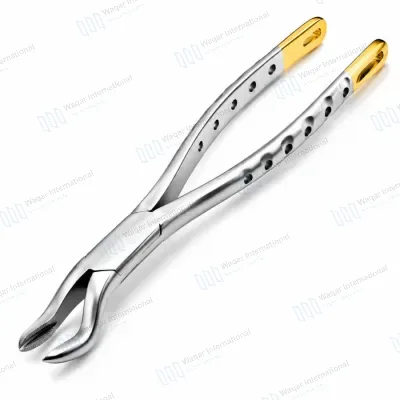 Universal Dental Extracting Forceps Stainless Steel Oral Surgery Tool