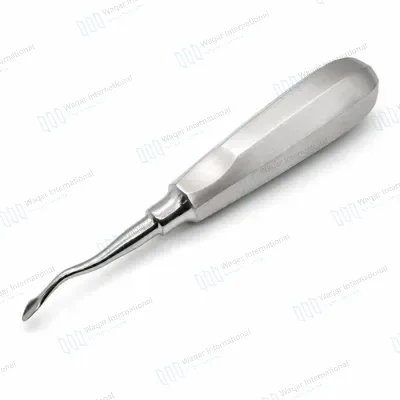 Dental Berenard Spade Elevator Concave Curved Root Extraction Tool