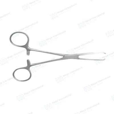 Allis Tissue Forceps 19cm Reusable Surgical Clamp Medical