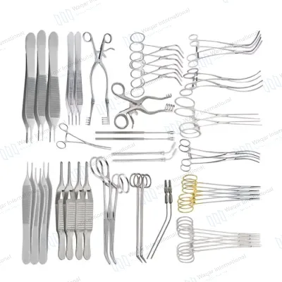 Complete Abdominal Vascular Surgery Set Cardiovascular Surgical Instruments