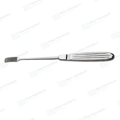 Aufricht Glabellar Rasp Stainless Steel Nasal Surgery Instrument