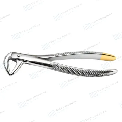 Dental Instruments