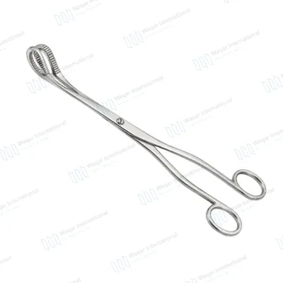 McClintock Ovum Forceps Gynecology Surgical Instrument