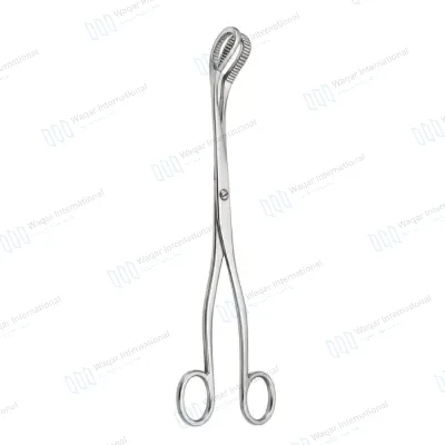 McClintock Steel Ovum Forceps Reusable Gynecological Instrument