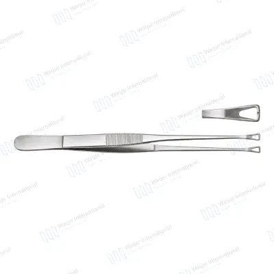 Singley Tissue Forceps Stainless Steel Surgical Instrument