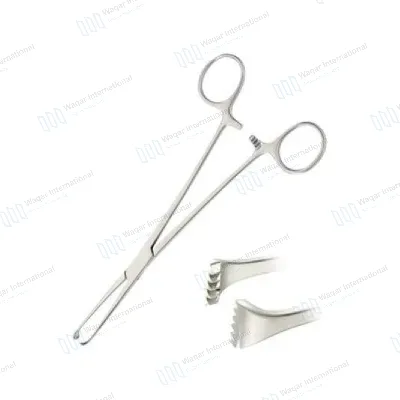 Allis Tissue Forceps Toothed Locking Pliers Intestinal Forceps Dental
