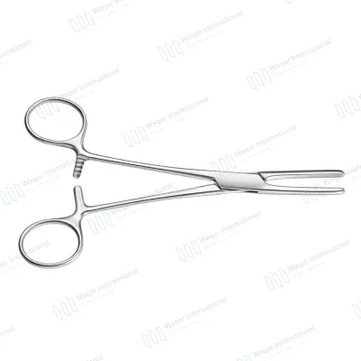 Burlisher Clamp-02 Surgical Clamp Precision Instrument for Tissue