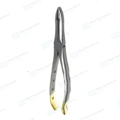 Dental Extracting Serrated Forceps