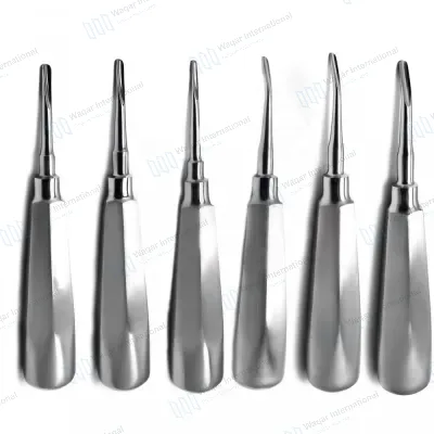 Dental Luxation Root Elevators 6-Piece
