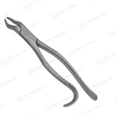 Lower Molar Extraction Forceps Serrated Handles Ergonomic
