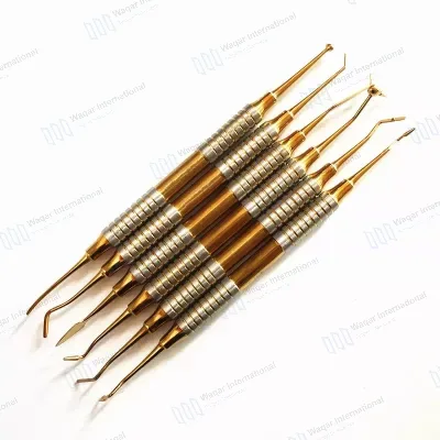 Dental Flat Plastic Filling Instruments