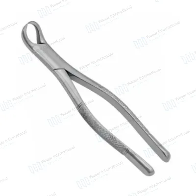 English Pattern Dental Tooth Extracting Forceps