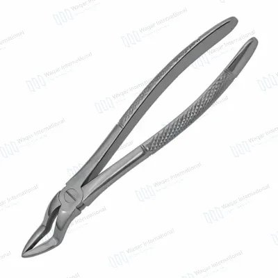 English Pattern Dental Tooth Extracting Forceps German
