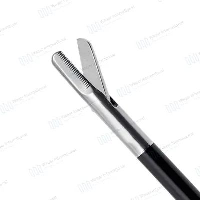 Stainless Scissors