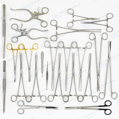 Stainless Steel Anatomical Model Equine Throat