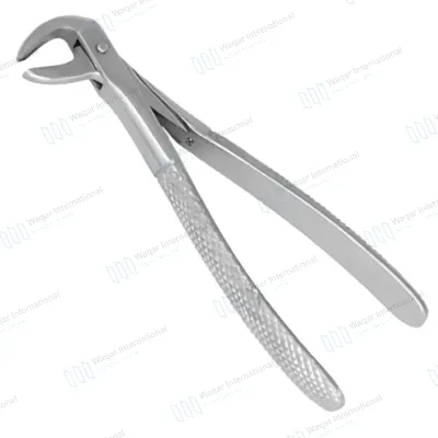 Stainless Steel Dental Tooth Extracting Forceps