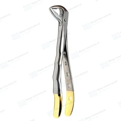 Stainless Steel Dental Extracting Forceps-Professional
