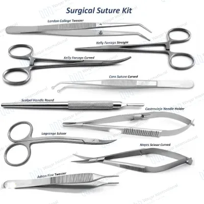 Orthopedic Dog Dental Instruments Reusable AC 110-220V Vet Instrument