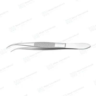 Perry Dressing Plier Dental Surgical Instrument for Controlled Dressing