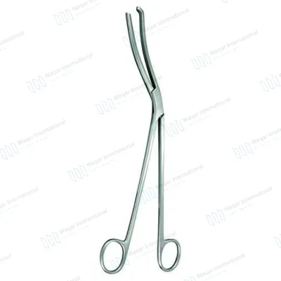 Stainless Forceps