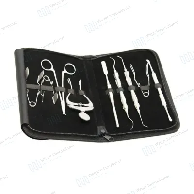 Rabbit Rat Rodent Small Animal Cheek Teeth Molar Incisor