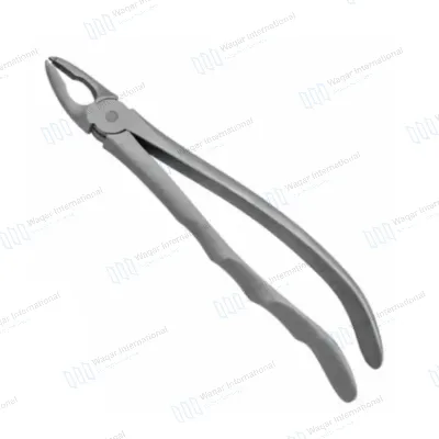 Stainless Steel Dental Extraction Forceps Ergonomic Grip