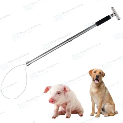 Veterinary Pig Holder Instrument Set