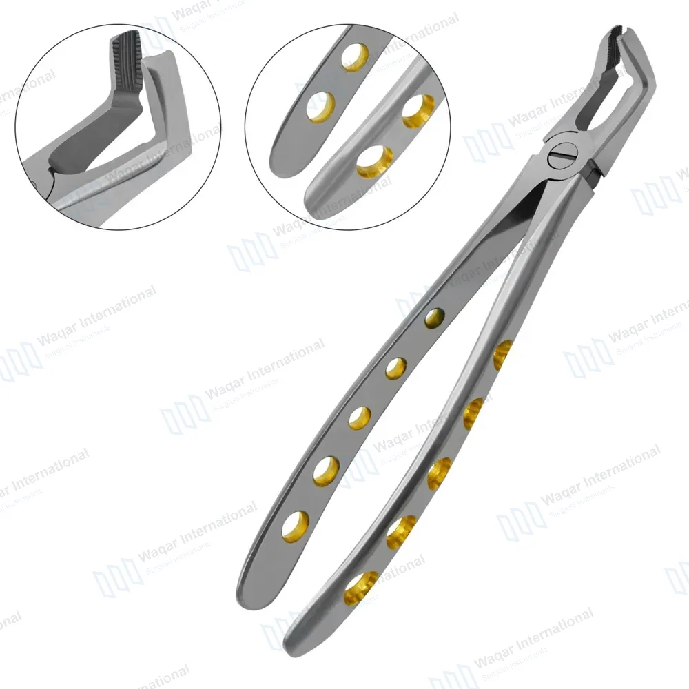 Dental Extracting Forceps #F7 Diamond Dusted Tips Gold Handle