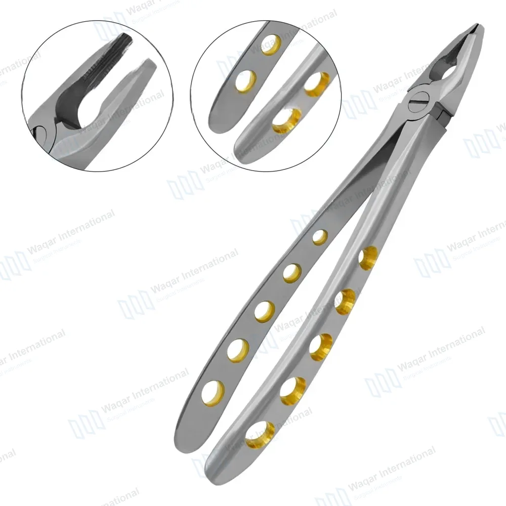 Dental Extracting Forceps #F3 Diamond Dusted Tips Gold Handle