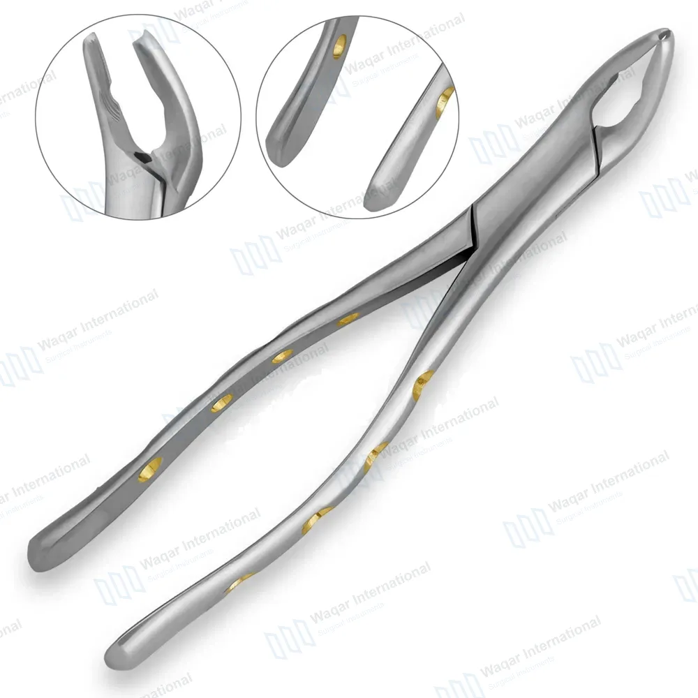 Pedo Extracting Forceps #151XAS Diamond Dusted Gold Hollow Handle