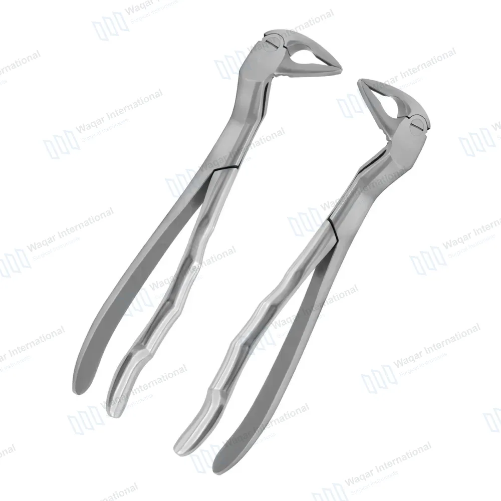 2 Micro Extracting Forceps #133L & #133R for Upper Incisor & Root