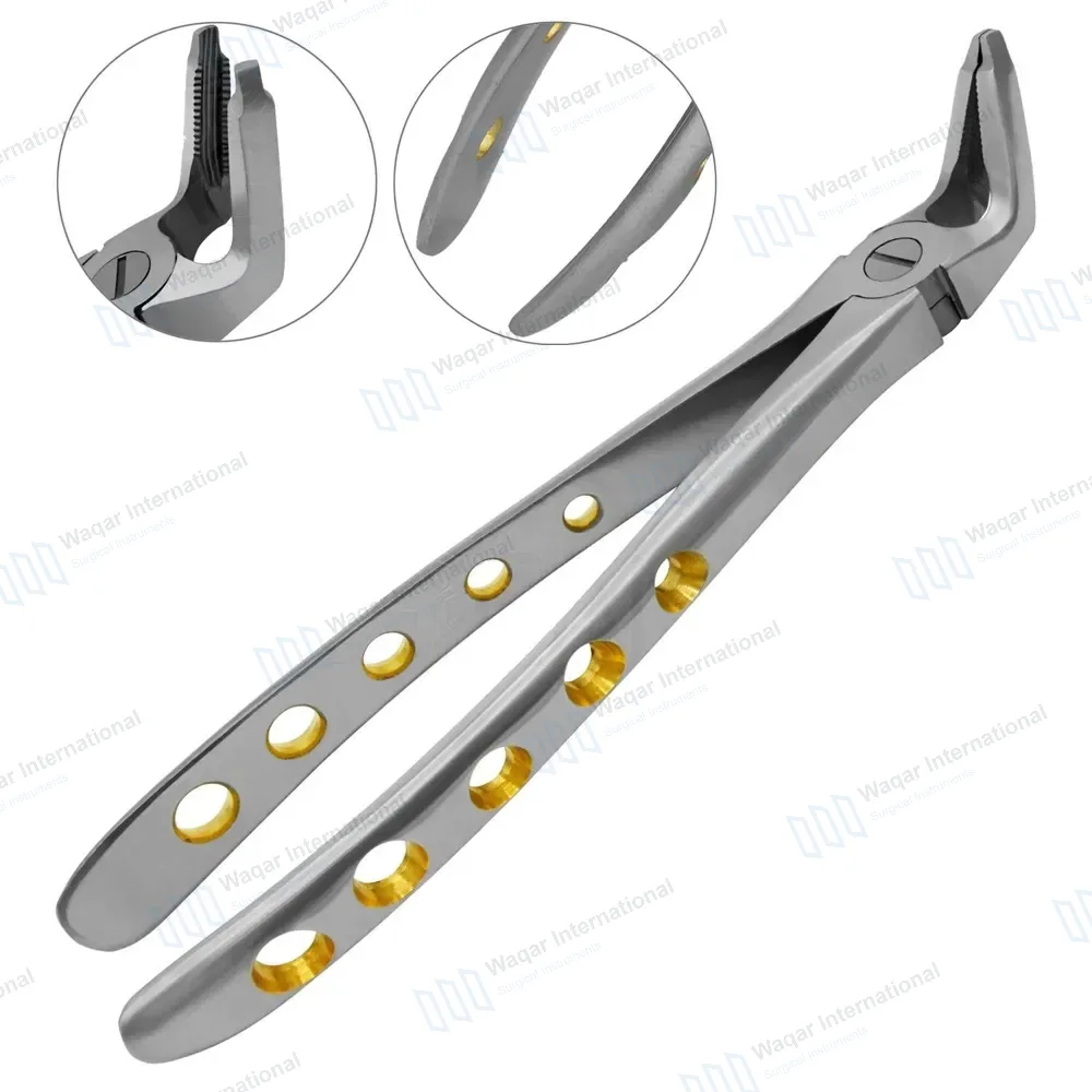 Dental Extracting Forceps #F2 Diamond Dusted Gold Handle