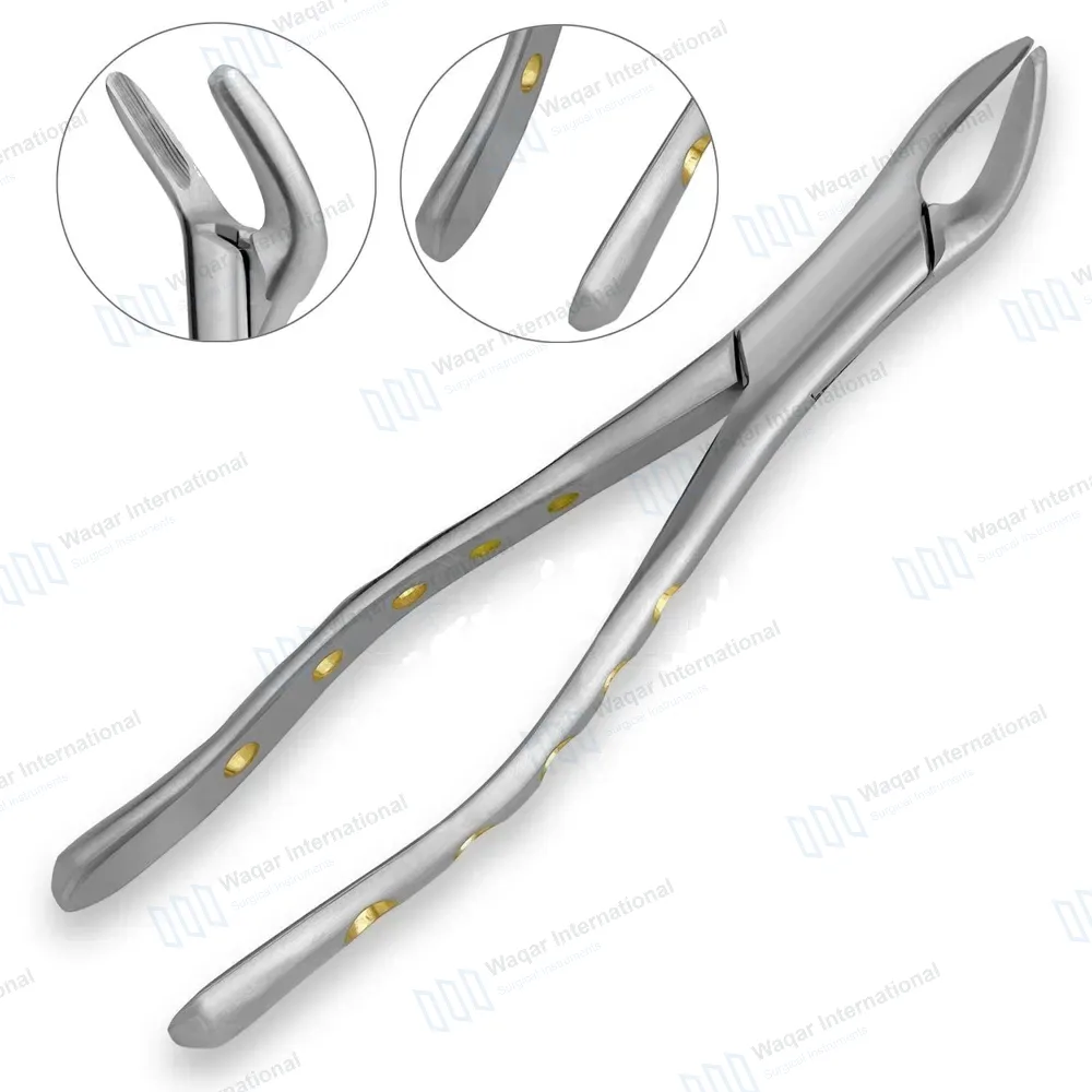 Extracting Forceps #151 P-1 Diamond Dusted Gold Hollow Handle