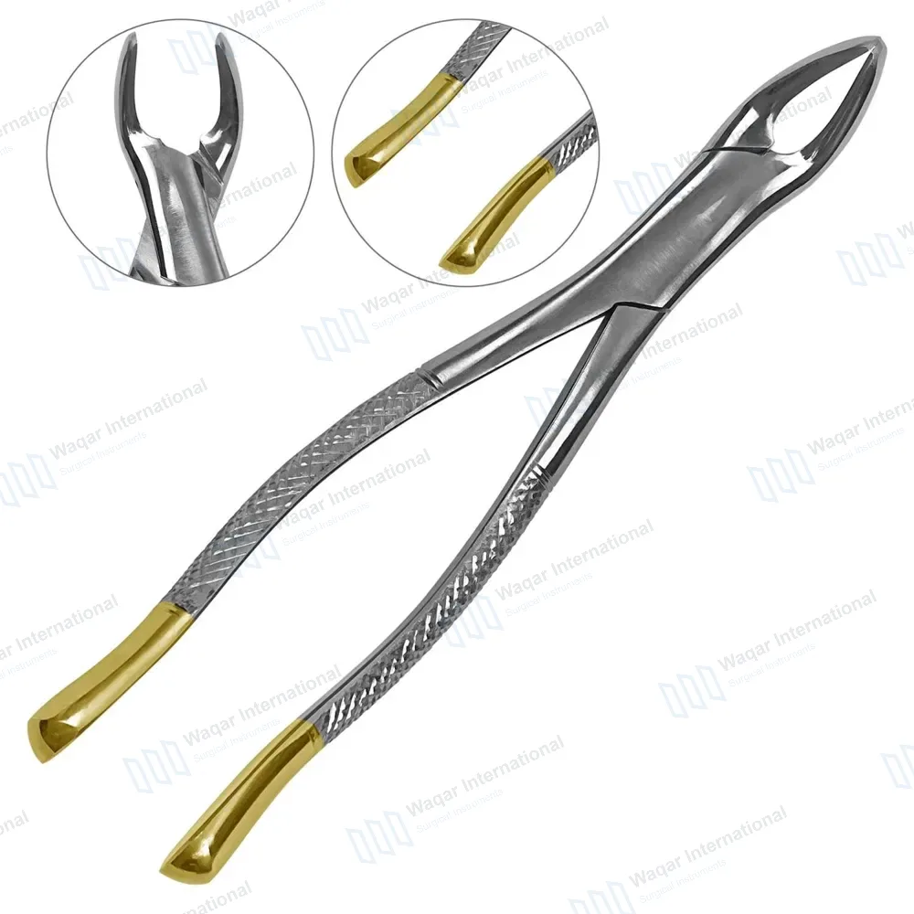 TC Extraction Forceps #151 for Lower Teeth