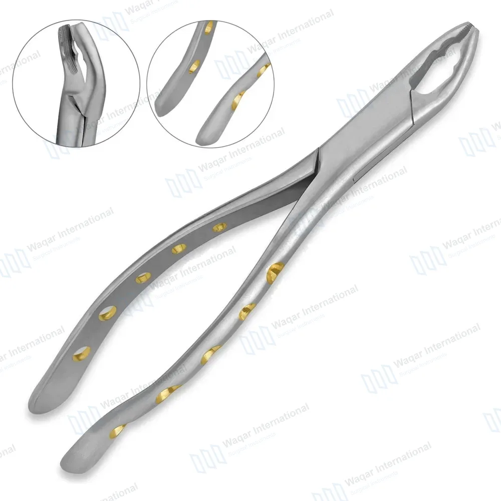 Extracting Forceps #150AS Diamond Dusted Python Grip Gold Hollow Handle