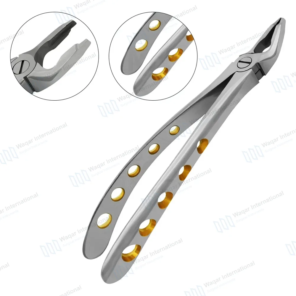Dental Extracting Forceps #F1 Diamond Dusted Gold Handle