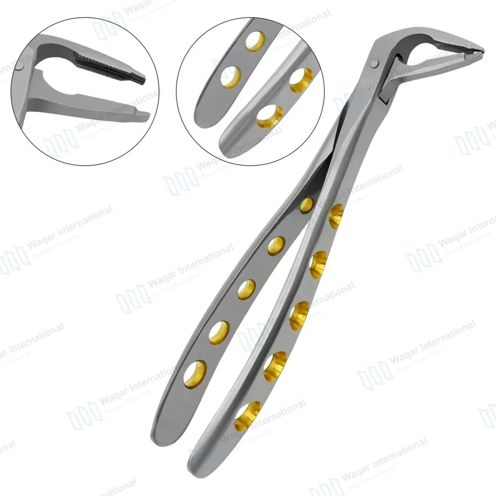 Dental Extracting Forceps #F4 Diamond Dusted Tip Gold Handle