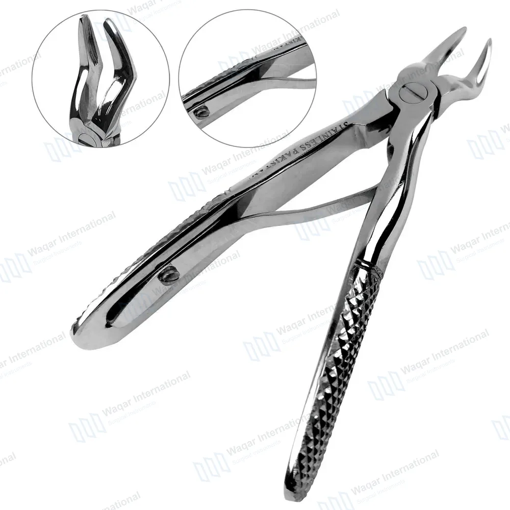 Pedo Extracting Forceps #H Upper & Lower Universal Mini
