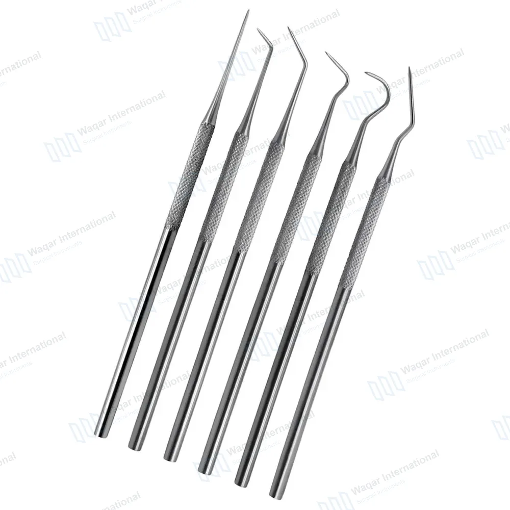 6 Pcs Dental Explorer Micro Diagnostic Probes Kit Single Ended