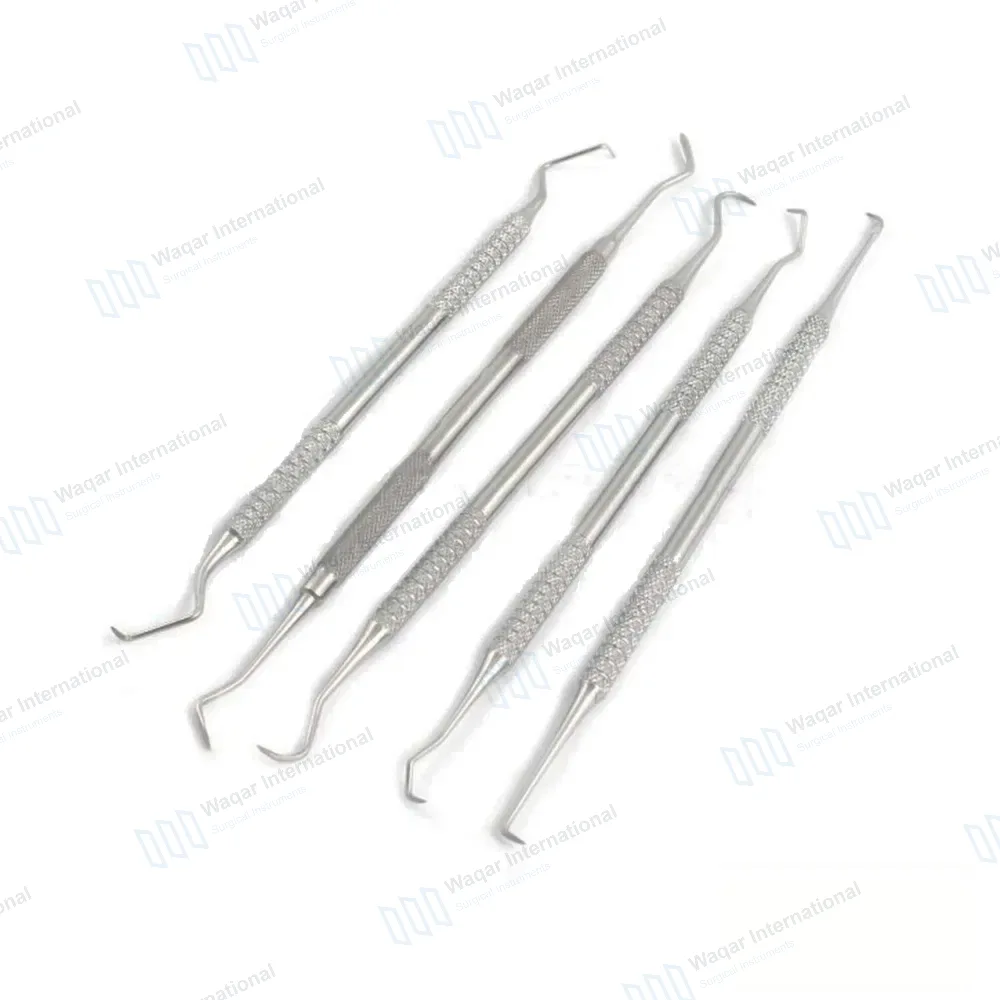 5 Pcs Feline Dental Kit Scaler & Probe Set for Small Animals
