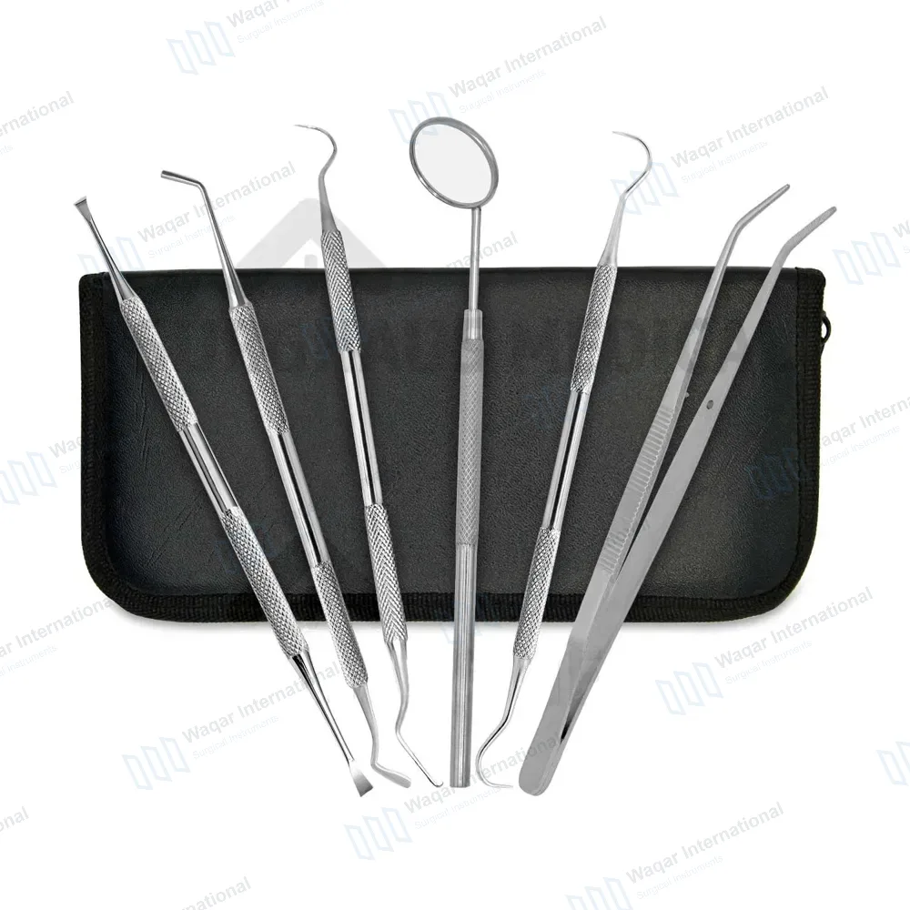 6 Pcs Professional Dental Tools Oral Hygiene Kit with Case