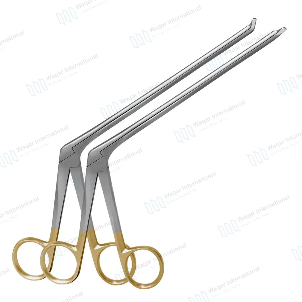 2 Gruenwald Nasal Forceps Set 4.5″ Shaft Thru-cut 2.5x12mm Oval Bite Gold Handle