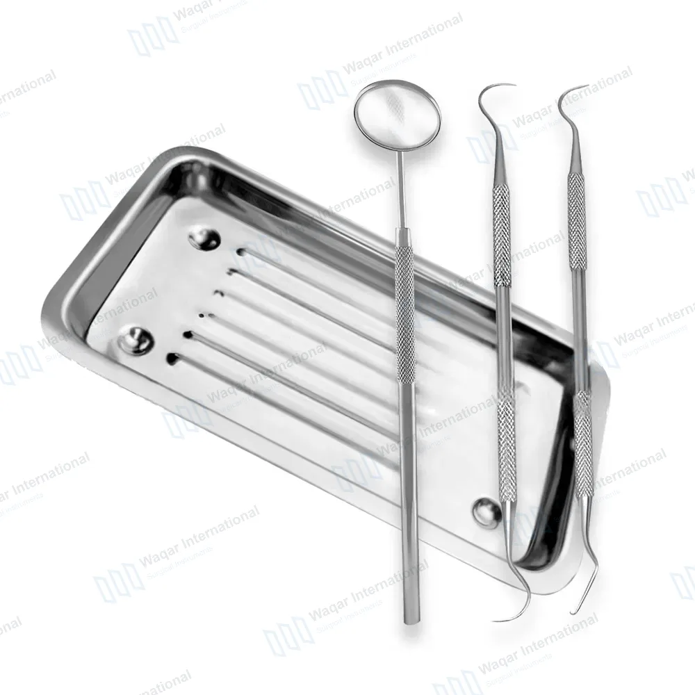 Scaler Tray with 3 Basic Dental Instrument Set