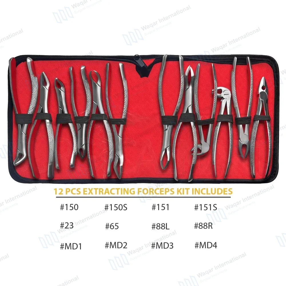 12 Pcs Dental Extracting Forceps Tooth Extraction Instruments Kit