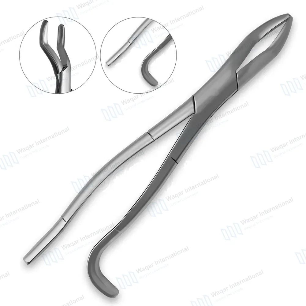 Equine Dental Wolf Tooth Extracting Forceps 11″ Hook Handle