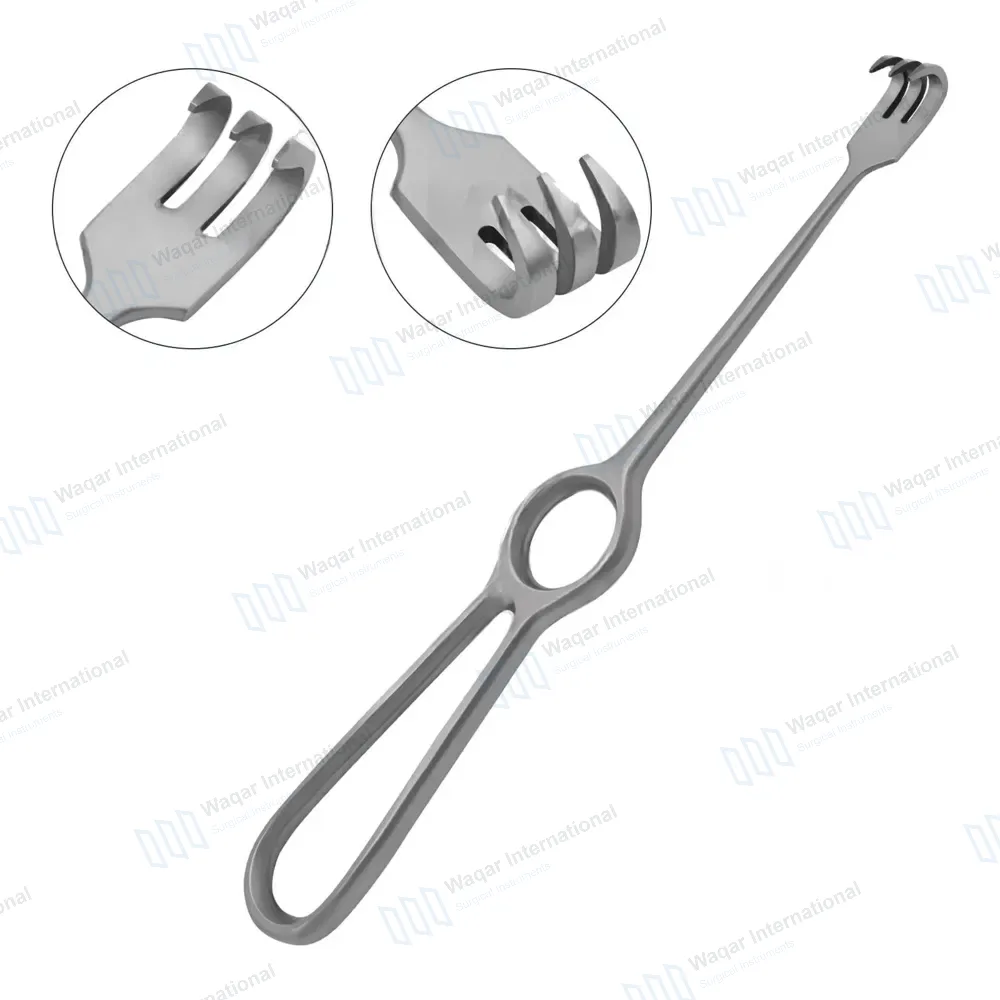 Volkman Retractor 8.5″ Ring Handle with 3 Sharp Prongs