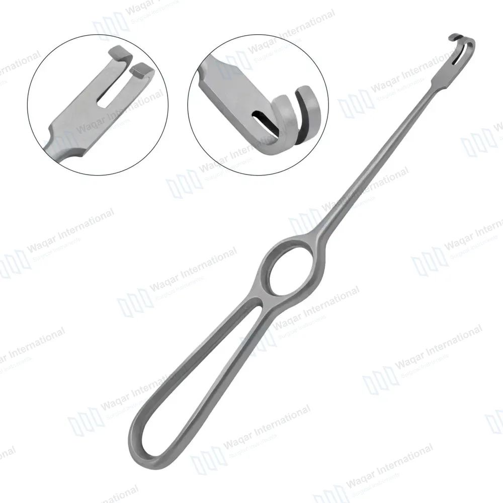 Volkman Retractor 8.5″ Ring Handle with 2 Blunt Prongs