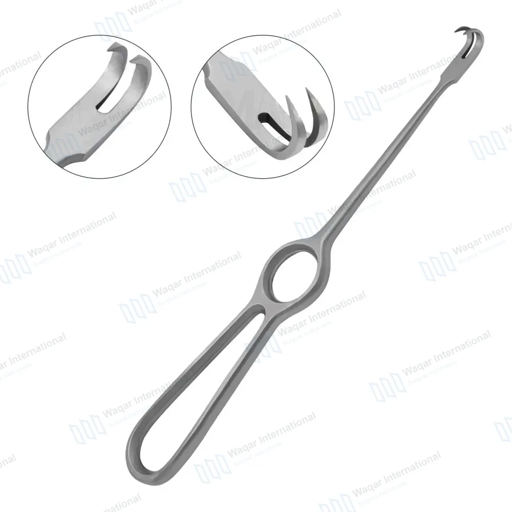 Volkman Retractor 8.5″ Ring Handle with 2 Sharp Prongs