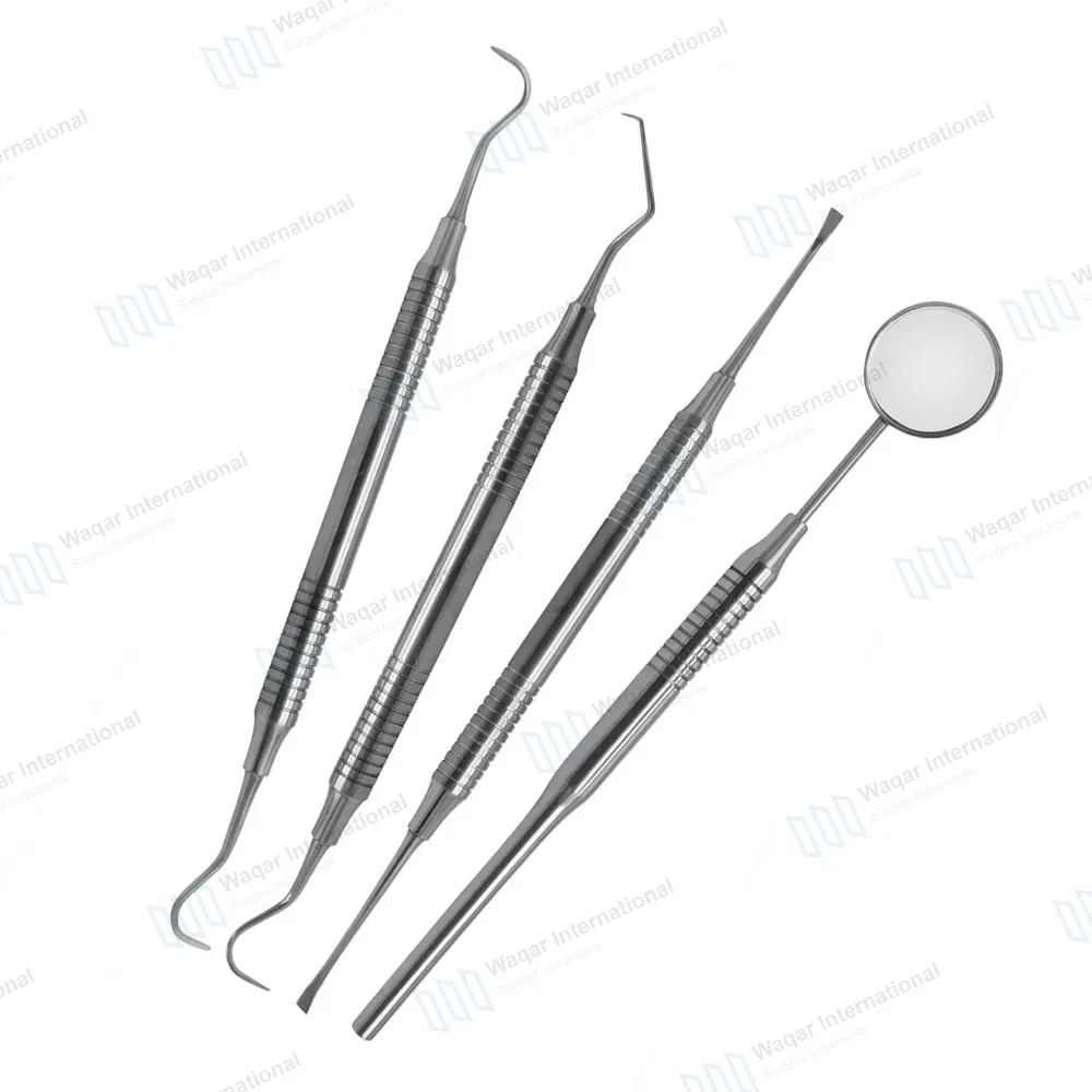 4 Pcs Dental Tarter Scraper and Remover Set – Hollow Handle